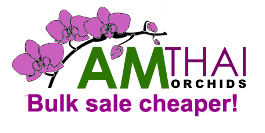Amthaiorchids.com